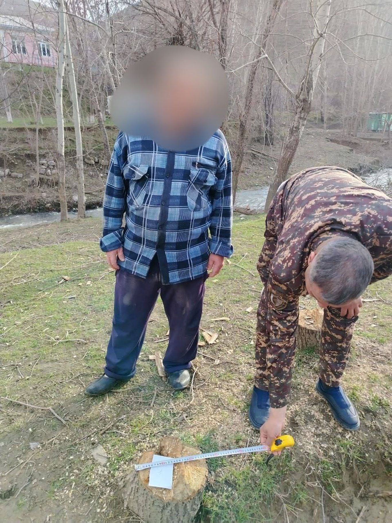 Пять деревьев обошлись нарушителю в 27 миллионов сумов