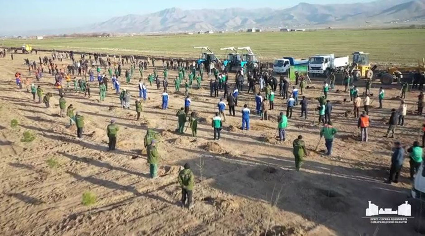 Реализация проекта «Зелёное пространство» продолжается