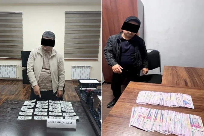 В Самаркандской области задержан кадастровый специалист по подозрению во взятке