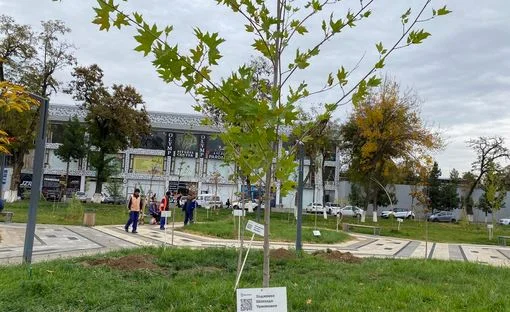 В Узбекистане планируют поощрять участников озеленения специальными статусами и наградами