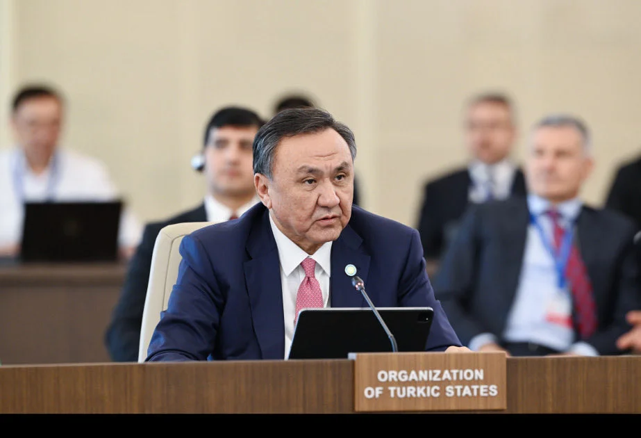 Генсек ОТГ выступил на встрече глав правительств в Баку