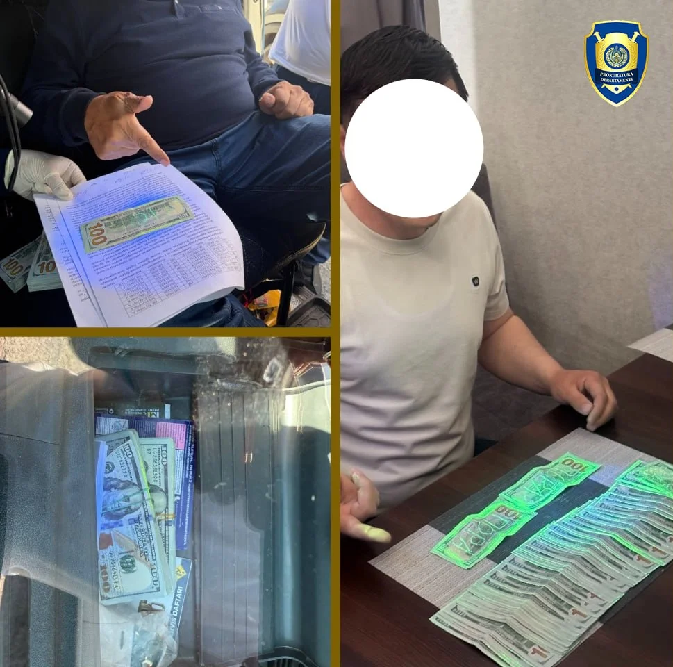 В Самаркандской области раскрыты факты мошенничества при продаже земельного участка