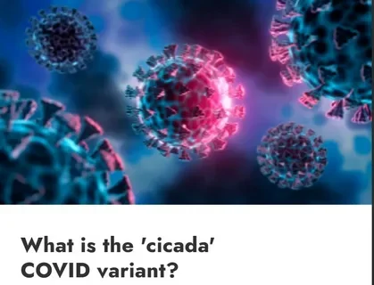 В мире распространяется новый штамм COVID-19 «Цикада» — BBC