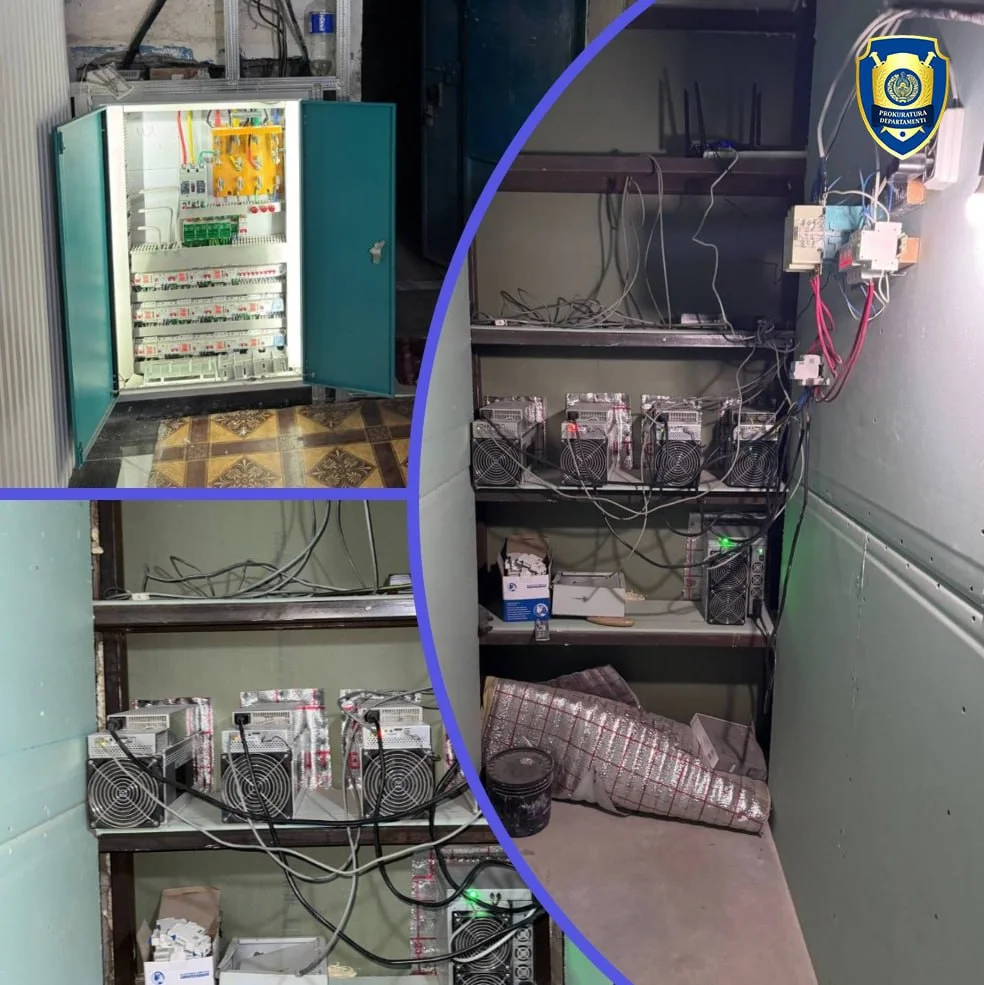 В Самаркандской области выявлена незаконная майнинг-ферма с хищением электроэнергии