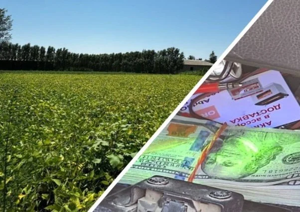 В Самарканде мошенник пытался продать землю за 60 тысяч долларов