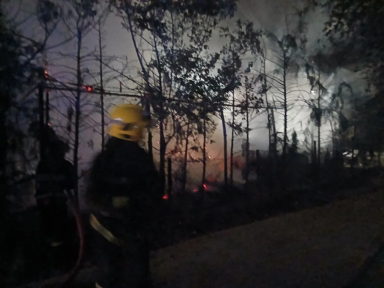 В Самарканде произошёл пожар на территории заброшенного сада
