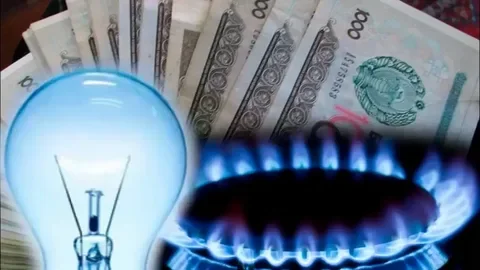 Старые тарифы на свет и газ будут действовать до двух месяцев при предоплате