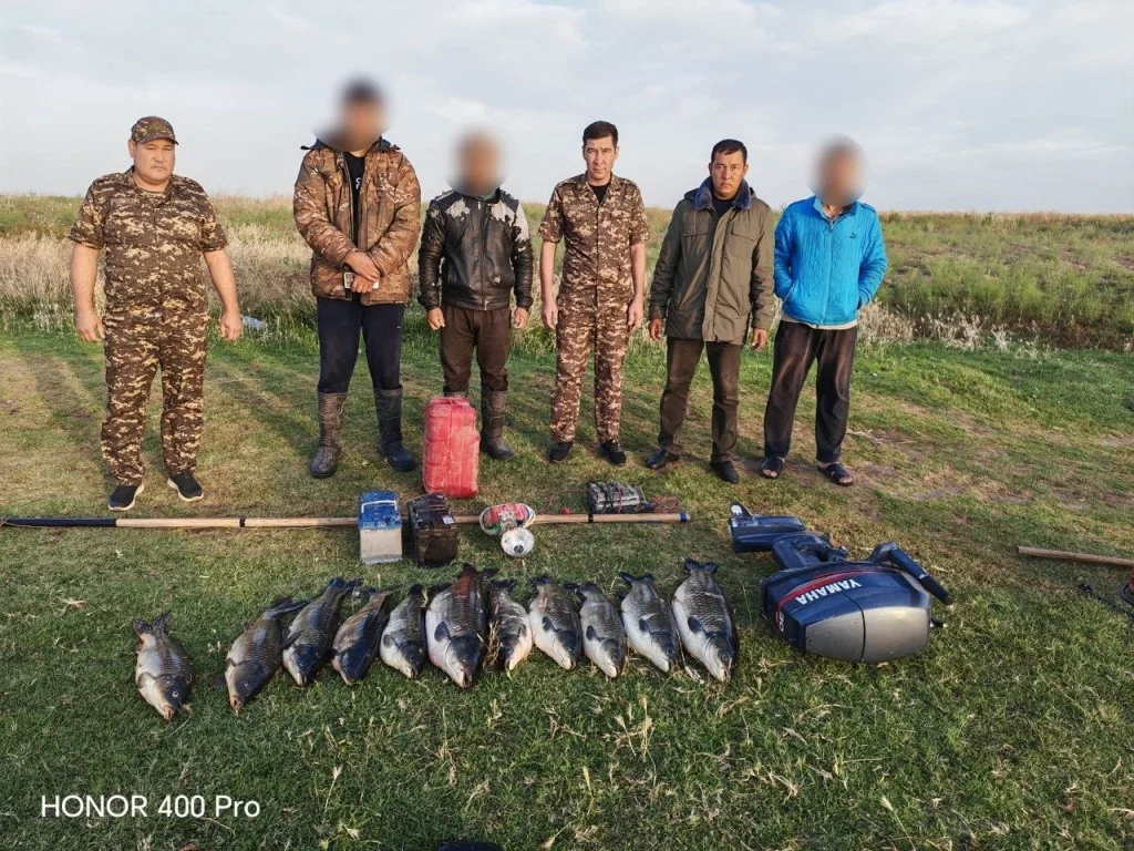 В Самаркандской области браконьеры нанесли природе ущерб почти на 2 миллиарда сумов