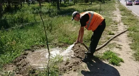 В Самаркандской области оштрафовали организации за ненадлежащий уход за саженцами