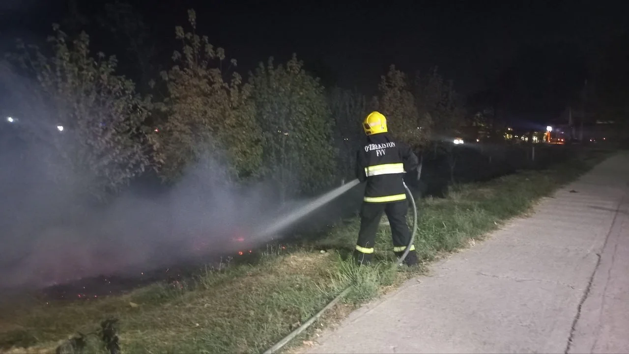 В Самаркандском районе произошёл пожар на открытом поле