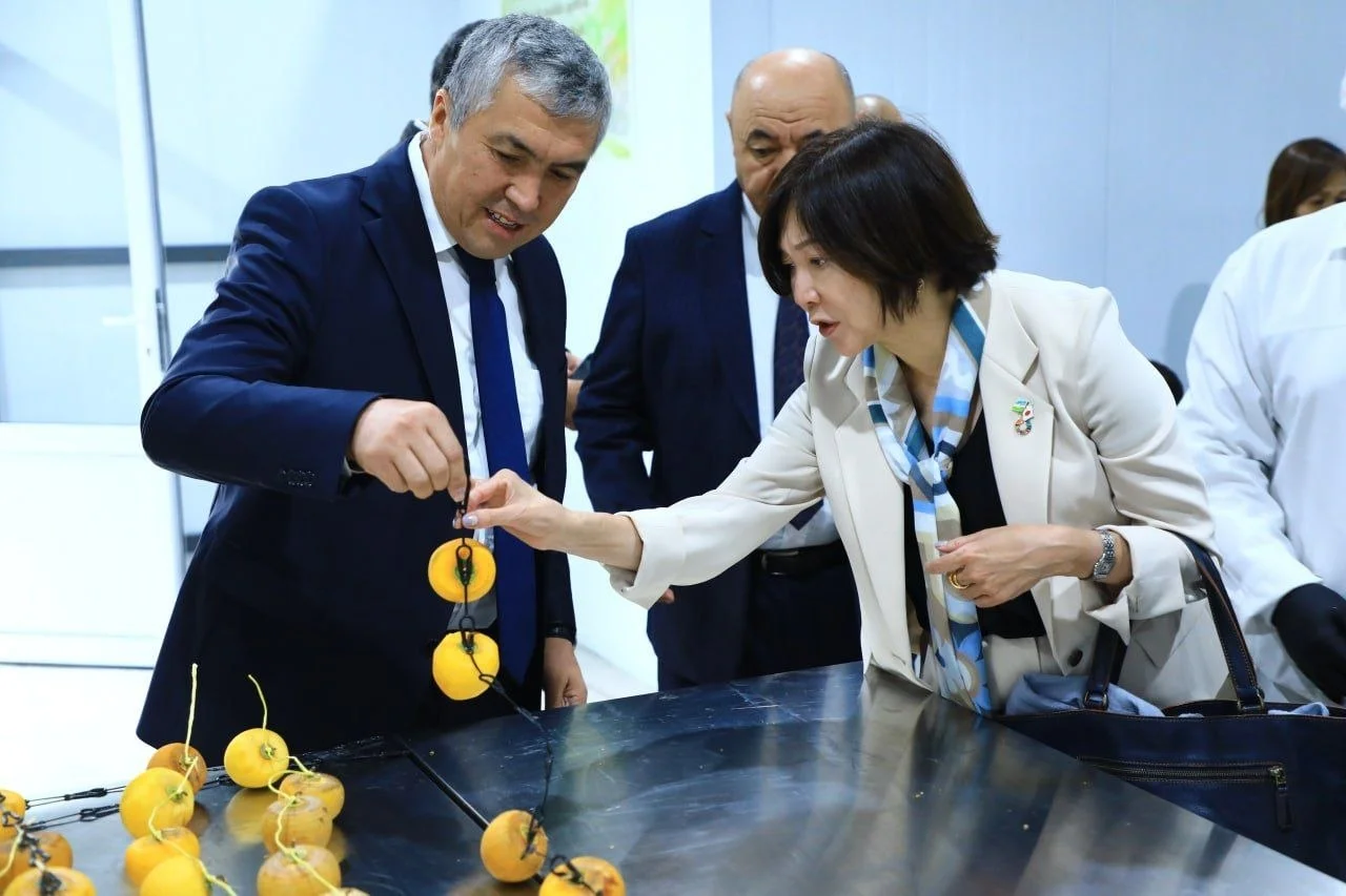 Делегация JICA изучила аграрные проекты Самаркандского института агроинноваций