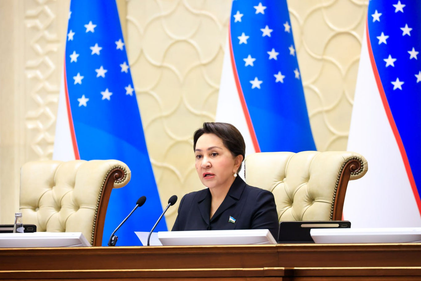 Сенат одобрил государственный бюджет на 2026 год