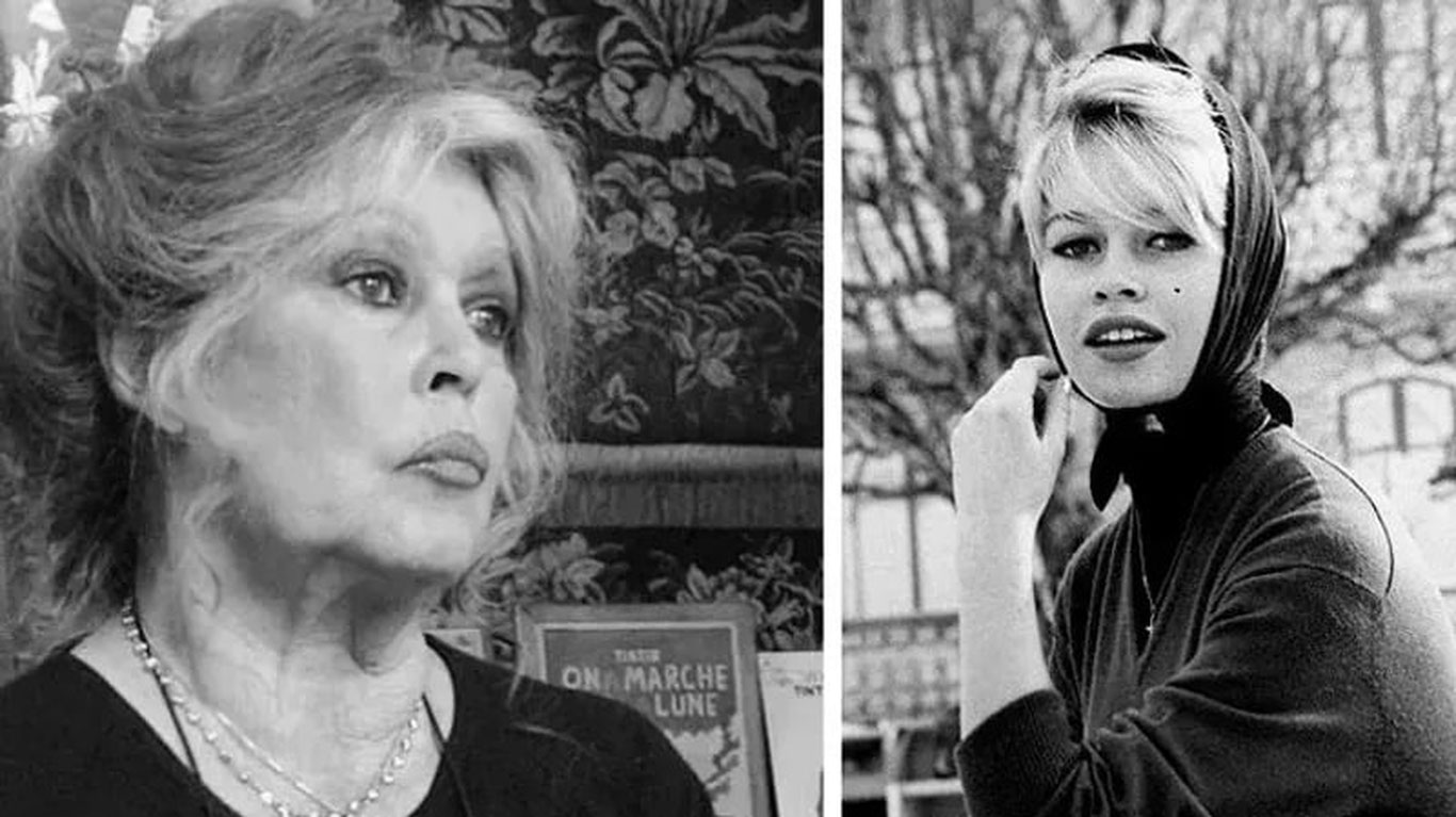 Скончалась легенда французского кино Брижит Бардо