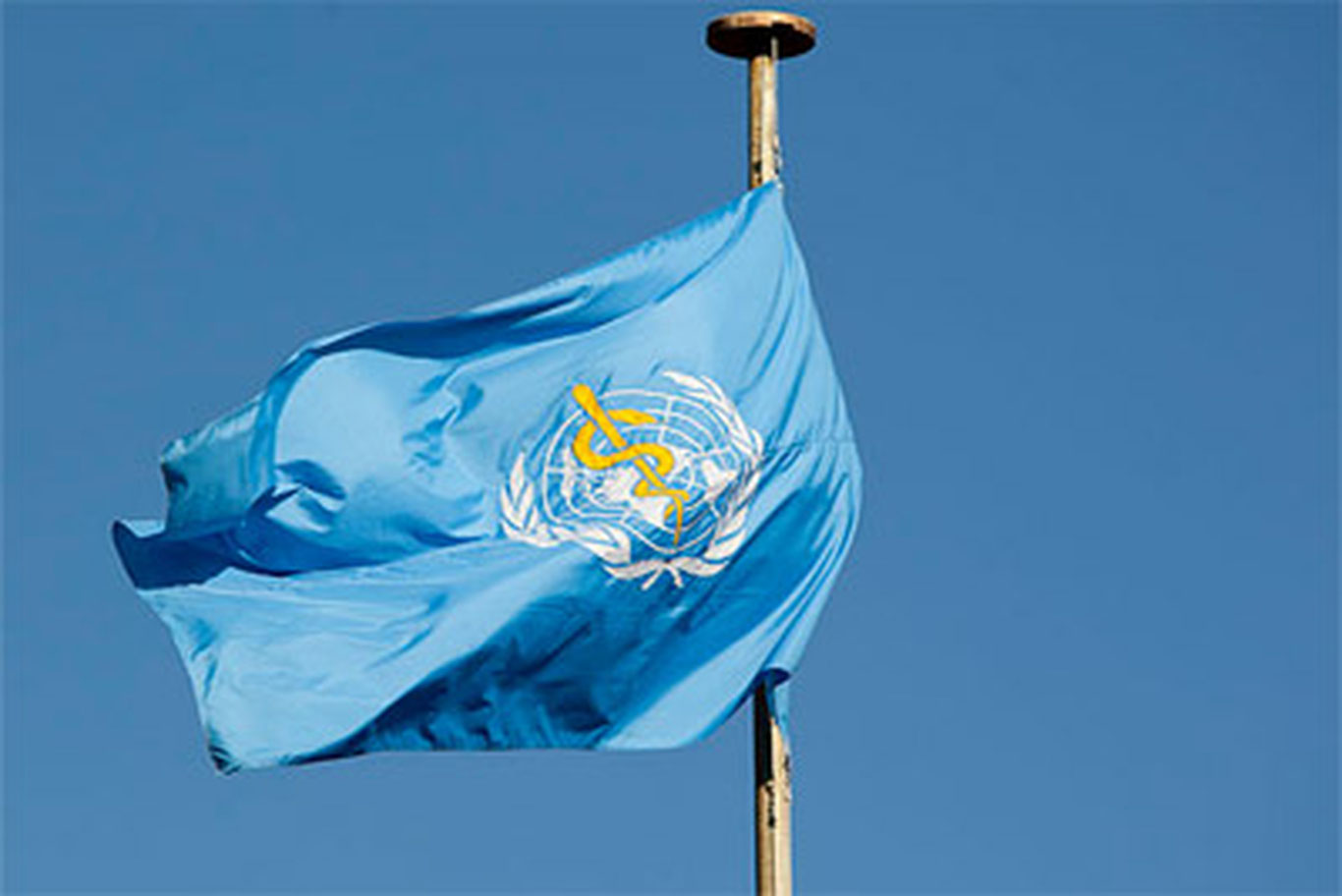 Всемирная организация здравоохранения отменила для Узбекистана статус страны, свободной от кори