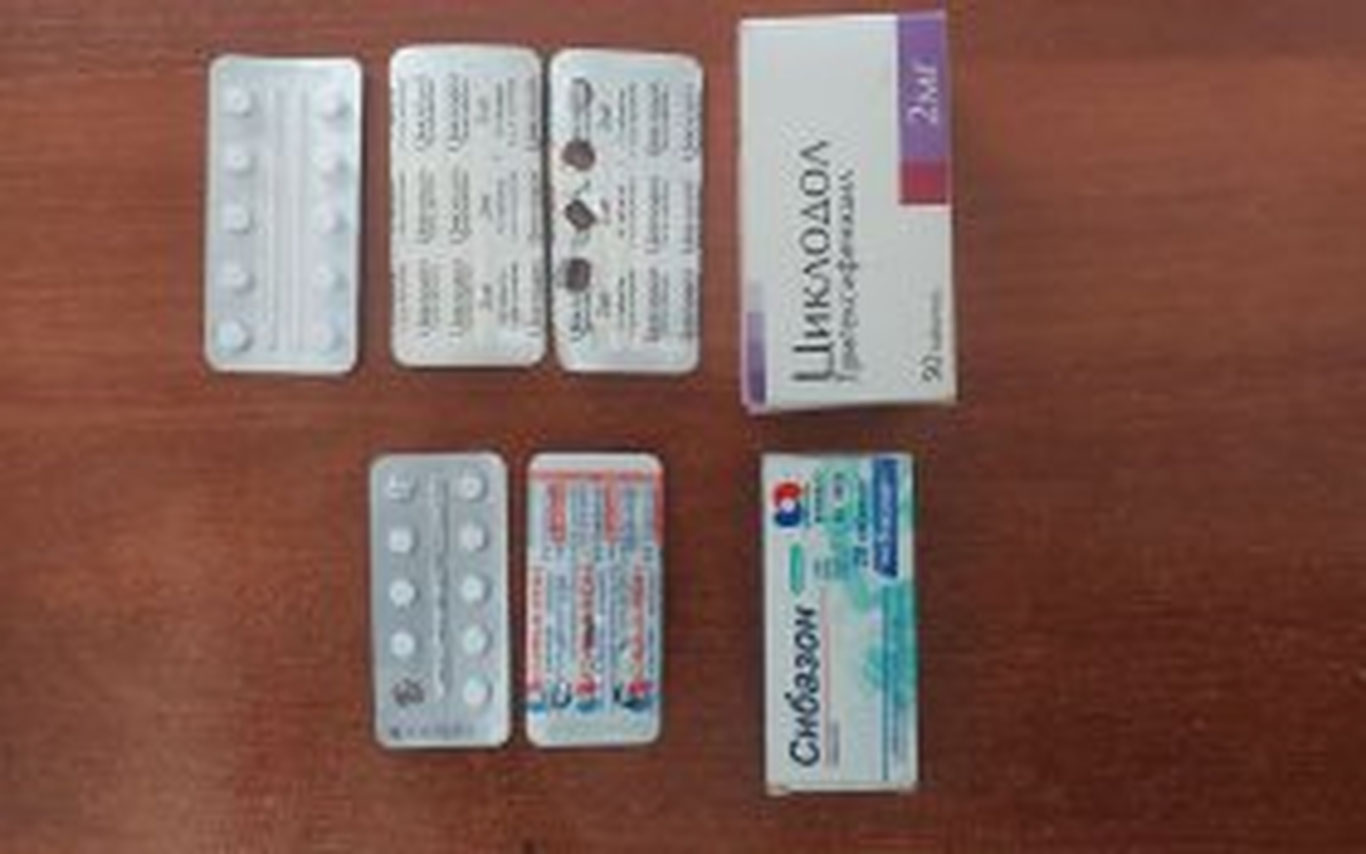 На пограничном таможенном посту «Джартепа» задержаны психотропные таблетки